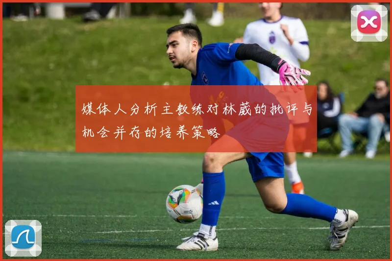 媒体人分析主教练对林葳的批评与机会并存的培养策略